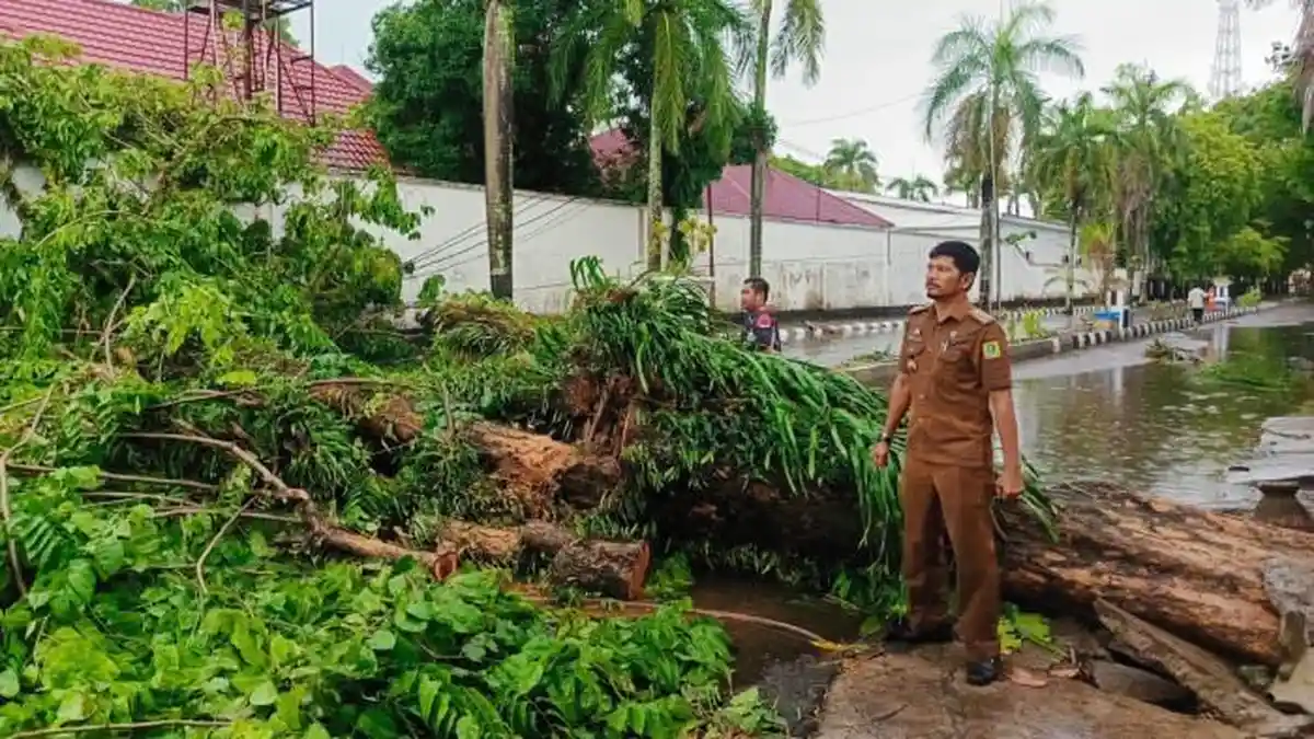 Angin Kencang Disertai Hujan Deras Hancurkan 17 Rumah di Sinjai