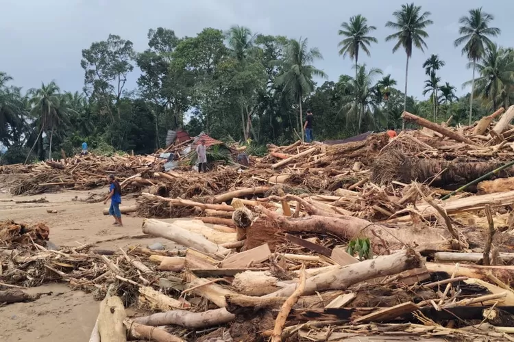 Banjir dan Longsor Sumatra Memburuk, Ahli Minta Penanganan Skala Nasional