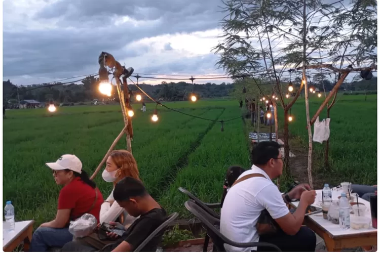 Wisata Sawah Desa Namang Viral, Sajikan Suasana Santai di Tengah Hijauan