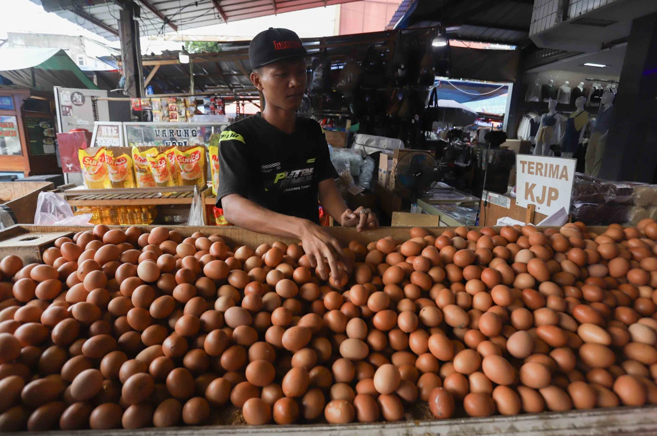 Harga Telur Diklaim Kembali Menguat Seiring Meningkatnya Permintaan