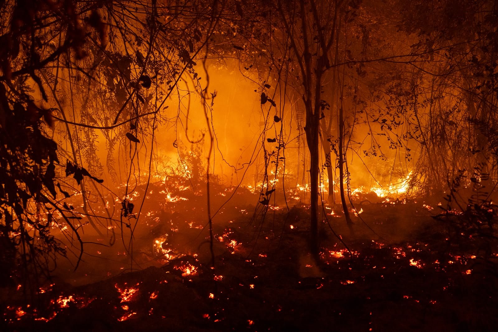 Lebih dari 3 Hektare Lahan Terbakar Akibat Karhutla yang Meluas di Majene